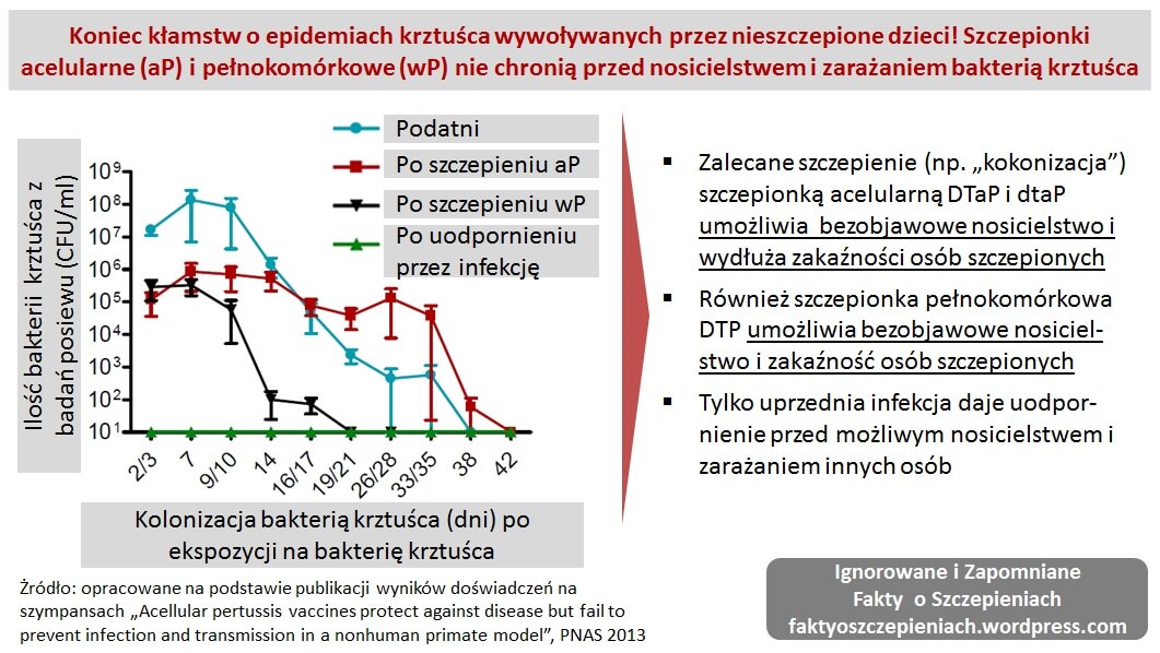 Koniec kłamstw o epidemiach krztuśca wywoływanych przez nieszczepione dzieci! Szczepionki acelularne (aP) i pełnokomórkowe (wP) nie chronią przed nosicielstwem i zarażaniem bakterią krztuśca