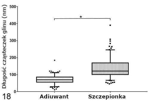 Długość cząsteczek glinu (Al) w makrofagach ziarniniaka. 