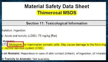 Karta charakterystyki bezpieczeństwa (MSDS) Tiomersalu - mutagenny