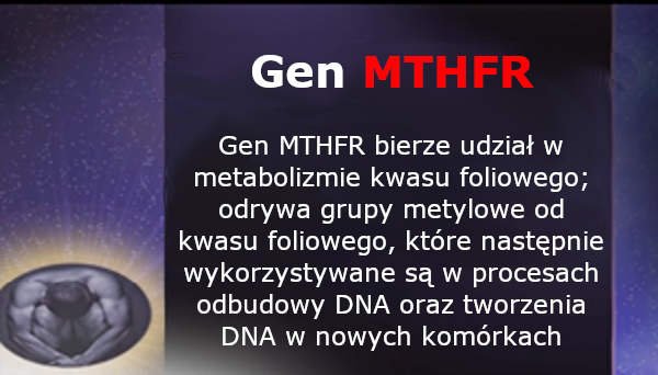 Transformacja epigenetyczna -gen MTHFR