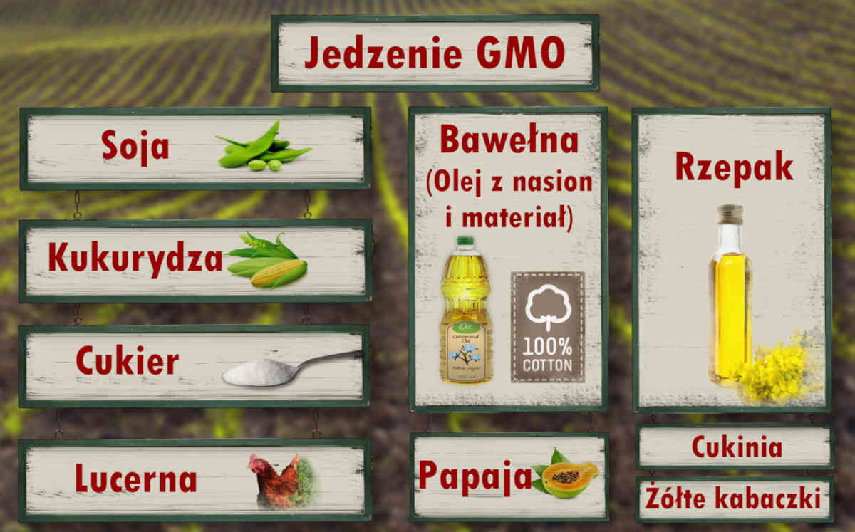 Sekretne składniki-Jedzenie GMO