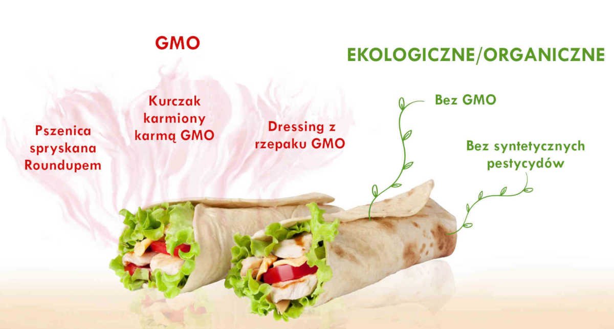 Sekretne składniki-gmo-vs-organiczne