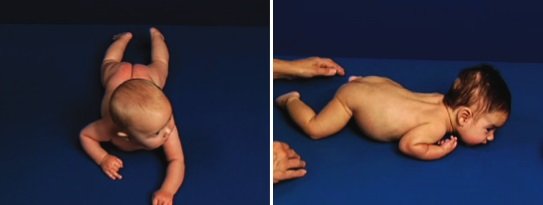 Typowy i nietypowy rozwój 4-miesięcznego dziecka - na brzuchu