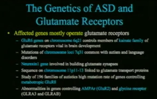 geny najczęściej kojarzone z autyzmem i receptory glutaminianu