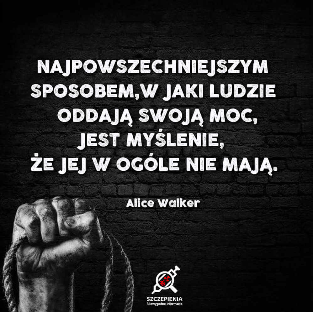 „Najpowszechniejszym sposobem, w jaki ludzie oddają swoją moc, jest myślenie, Że jej w ogóle nie mają” - Alice walker
