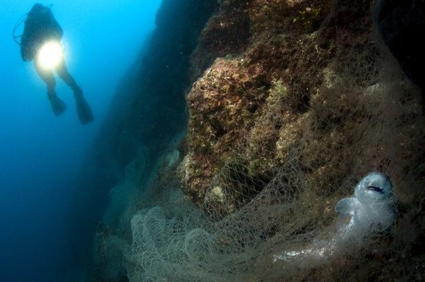 Porzucone, zagubione i wyrzucone narzędzia połowowe nadal zabijają morskie zwierzęta - Źródło plastiku w oceanie