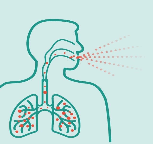 Układ oddechowy - Wdychanie cząsteczek zakaźnych