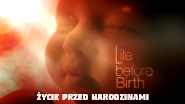 Film - Życie przed narodzinami - w łonie matki