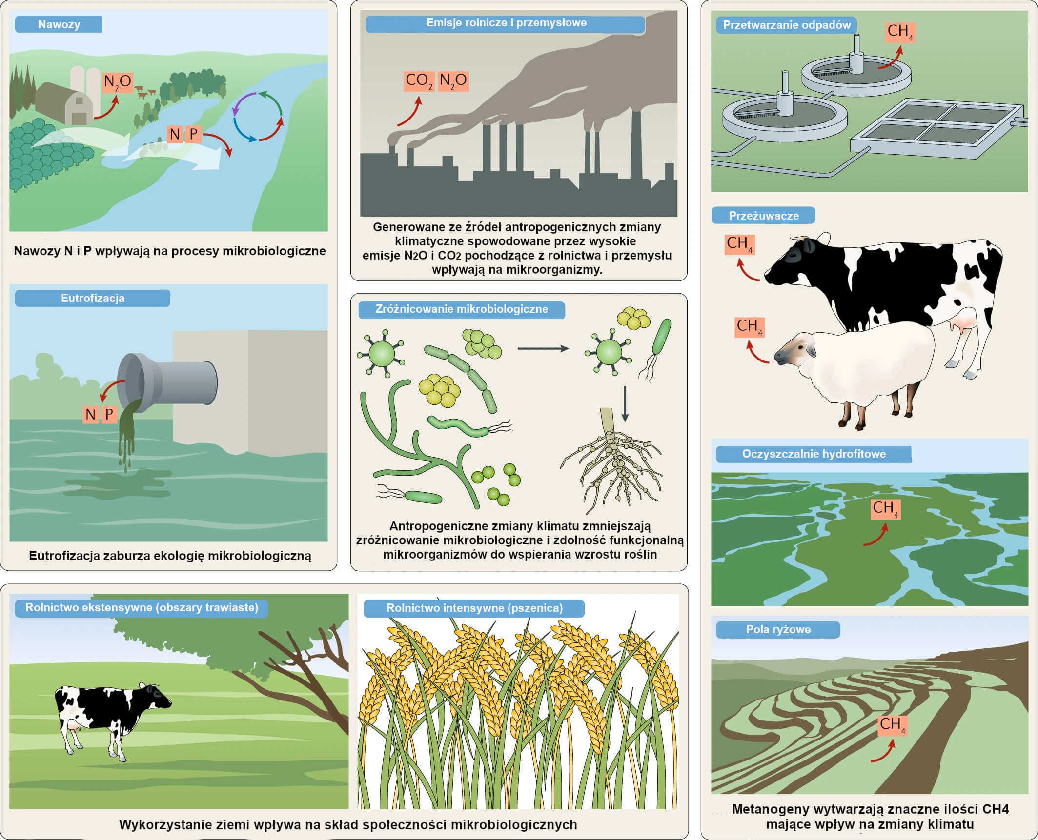 Ilustracja 2: Rolnictwo i inne rodzaje działalności człowieka mające wpływ na mikroorganizmy.
