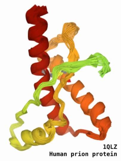 Ludzkie białko prionowe 1QLZ