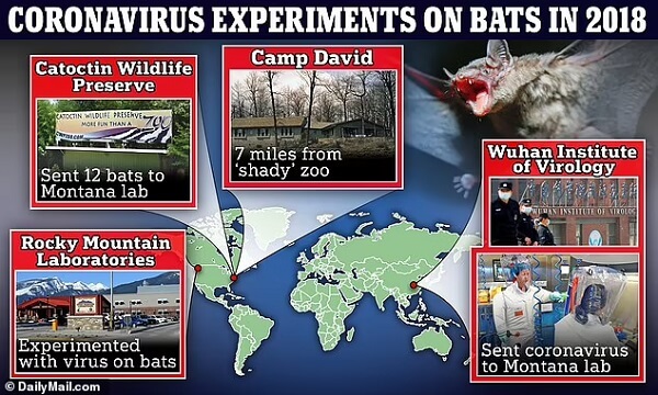 Laboratorium w Montanie eksperymentowało z koronawirusem z Wuhan rok przed pandemią Covid-19