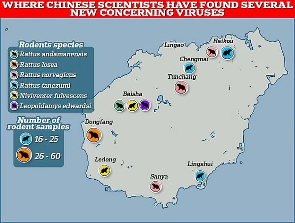 Osiem nowych wirusów, w tym jeden należący do tej samej rodziny co wywołują Covid, znaleziono w laboratoriach w całych Chinach.