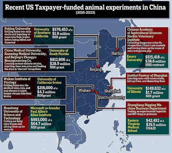 W latach 2015-2023 co najmniej siedem amerykańskich podmiotów przekazało granty z NIH laboratoriom w Chinach przeprowadzającym eksperymenty na zwierzętach na łączną kwotę 3.306.061 dolarów.