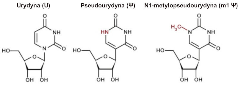 N1-metylopseudourydyna