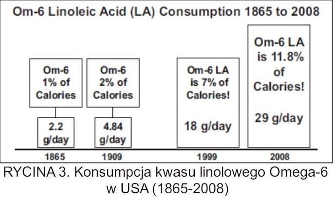 RYCINA 3. Konsumpcja kwasu linolowego Omega-6 w USA (1865-2008)