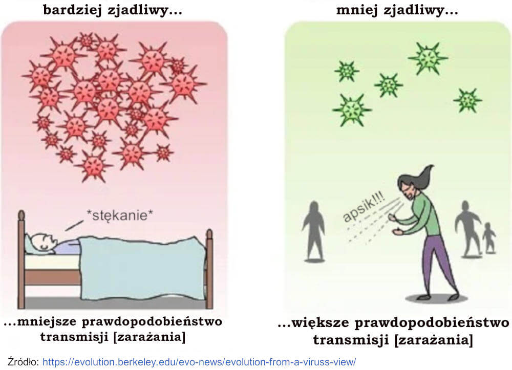 Bardziej zjadliwy vs mniej zjadliwy - Ewolucja z perspektywy wirusów