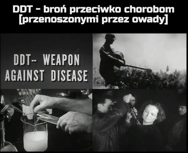 DDT - broń przeciwko chorobom [przenoszonymi przez owady]