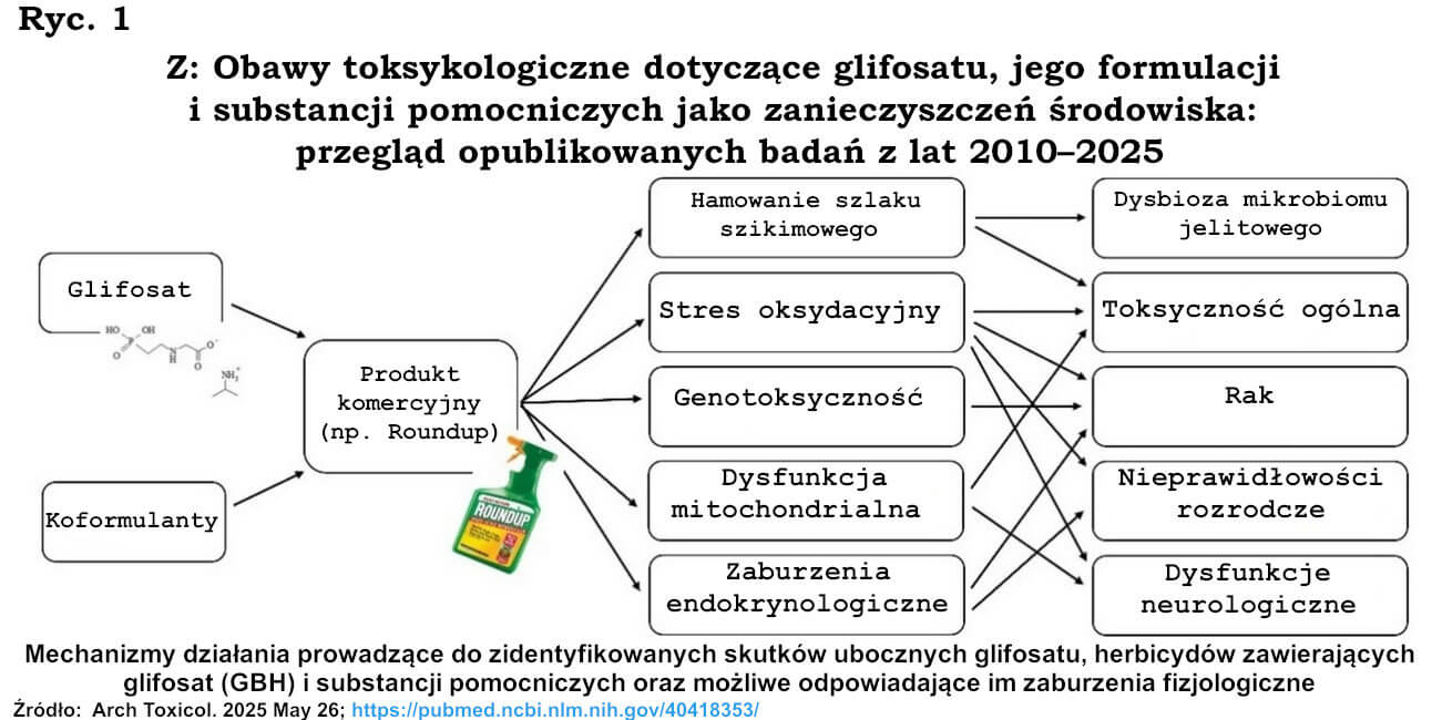 Obawy toksykologiczne dotyczące glifosatu, jego formulacji i substancji pomocniczych jako zanieczyszczeń środowiska