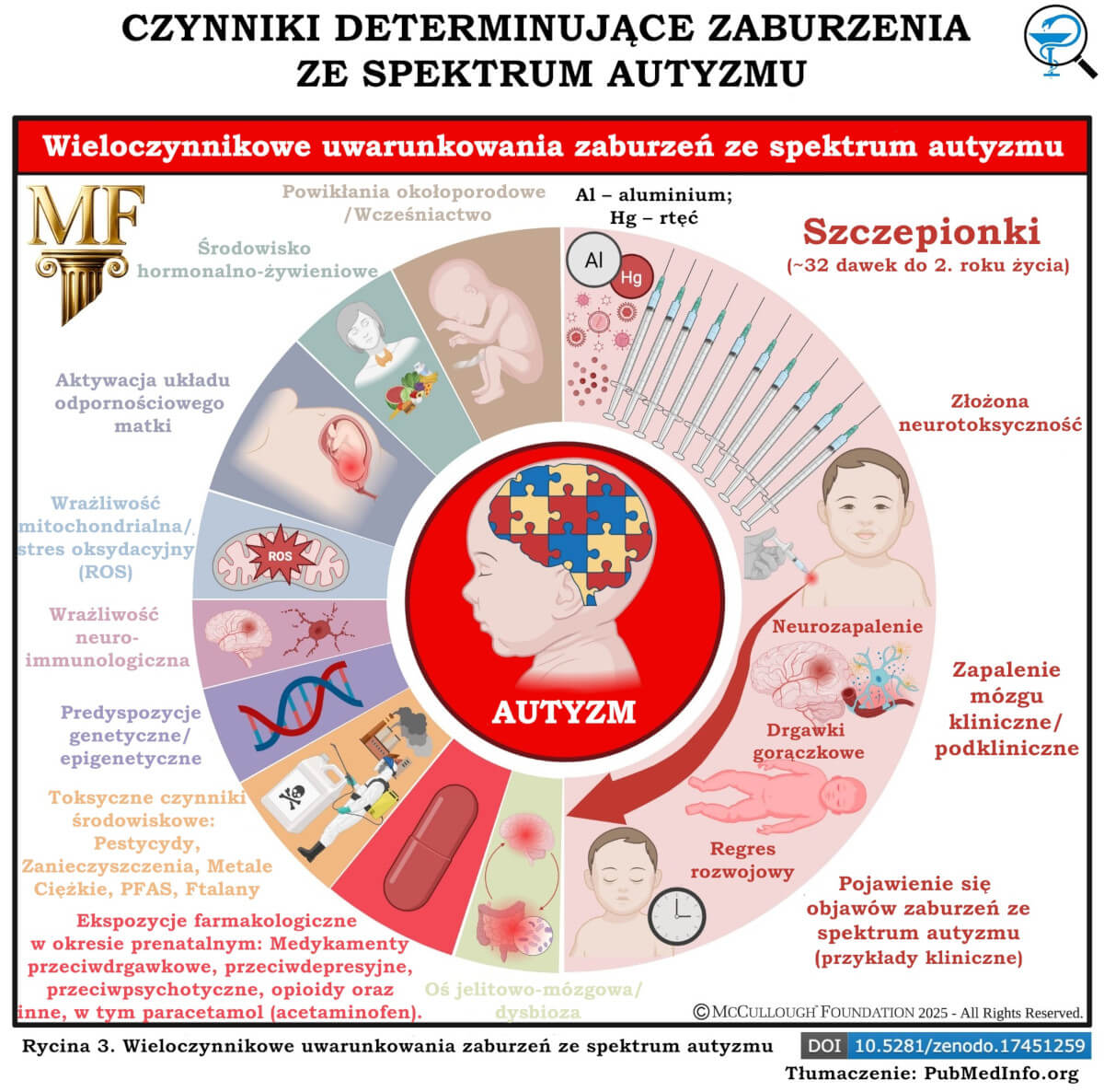 Czynniki determinujące zaburzenia ze spektrum autyzmu - Raport Fundacji McCullough