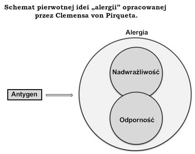 Schemat pierwotnej idei „alergii” opracowanej przez von Pirqueta.