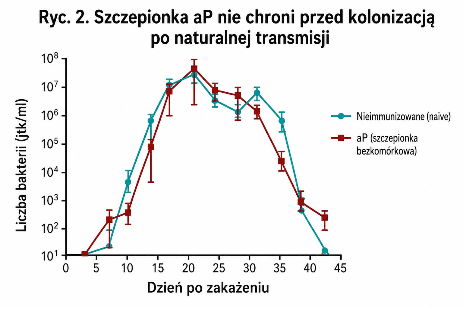 Ryc. 2. Szczepionka aP nie chroni przed kolonizacją po naturalnej transmisji