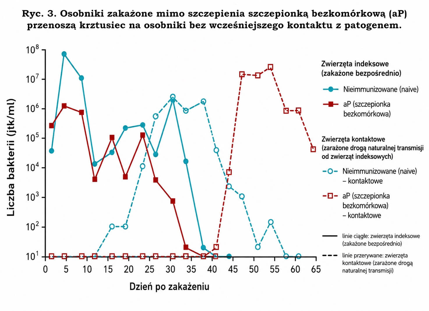 Ryc. 3. Zakażeni zaszczepieni szczepionką aP mogą przenosić krztusiec na naiwnych kontaktowych
